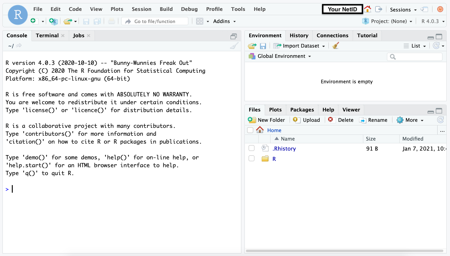 RStudio working environment.