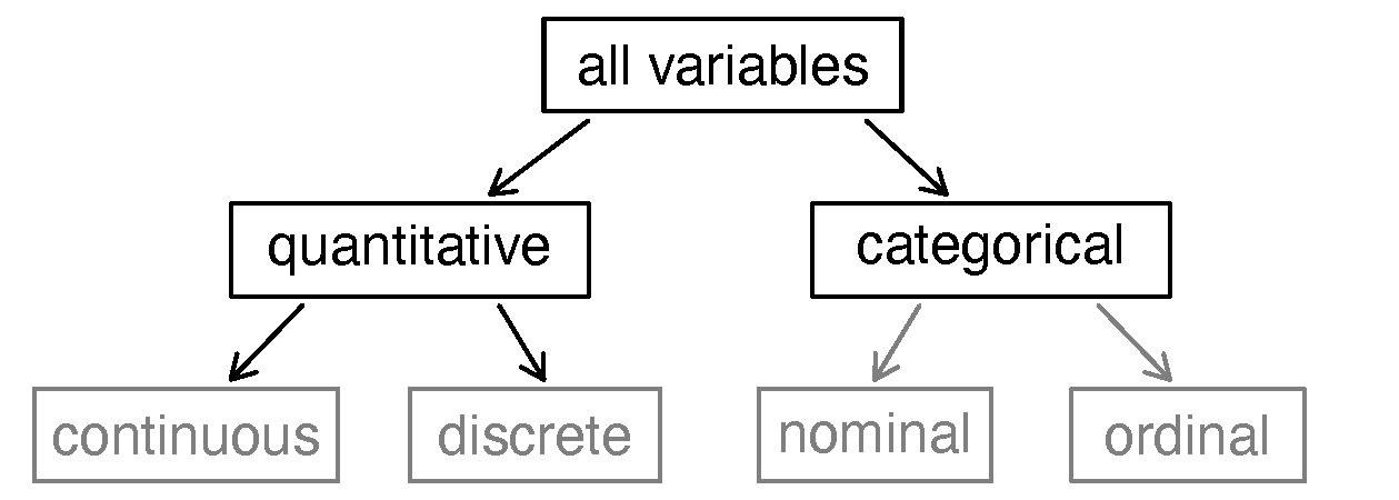 Breakdown of variables into their respective types.