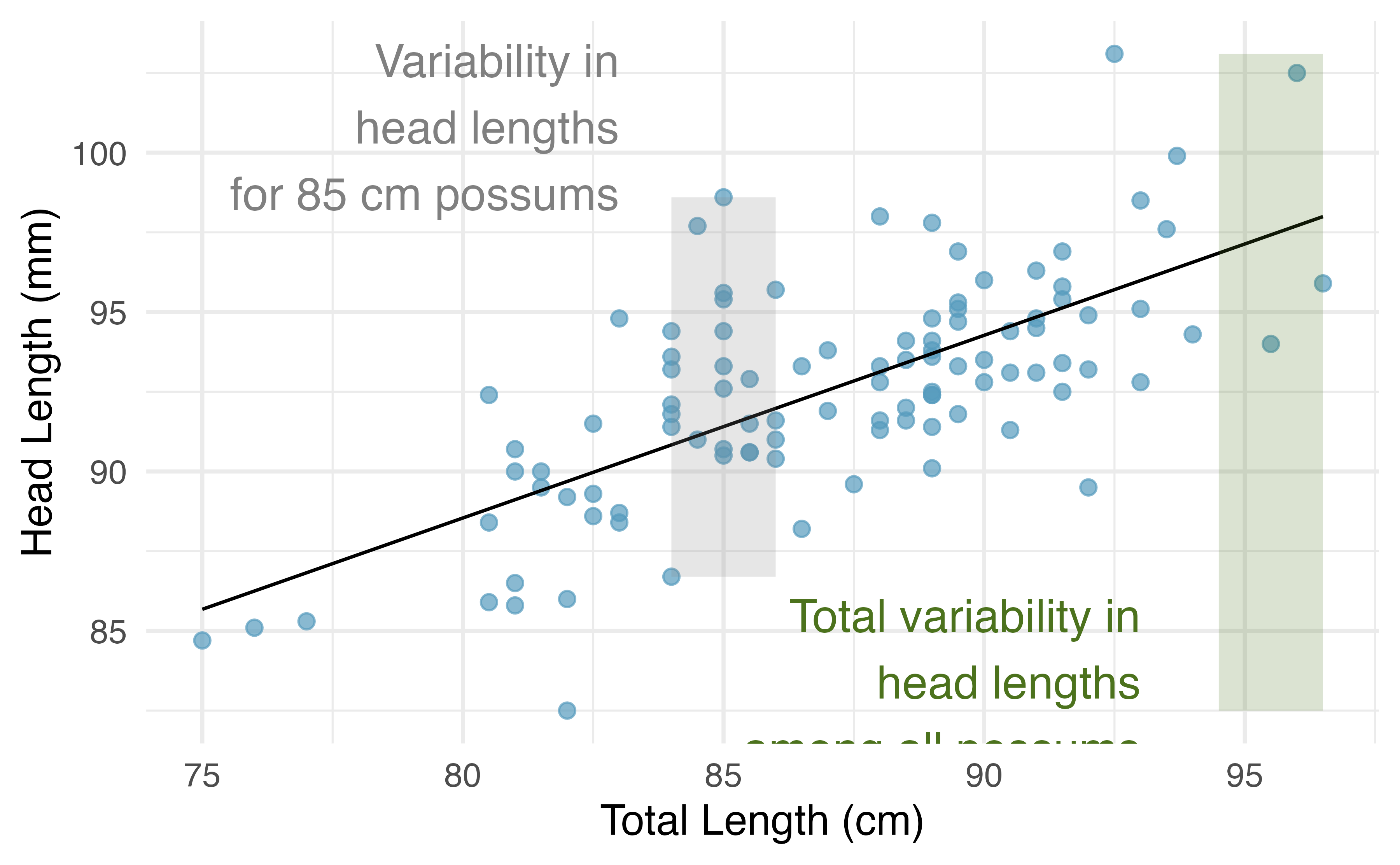 For these 104 possums, the range of head lengths is about 103 $-$ 83 = 20 mm. However, among possums of the same total length (e.g., 85 cm), the range in head lengths is reduced to about 10 mm, or about a 50% reduction, which matches $R^2 = 0.48$, or 48%.