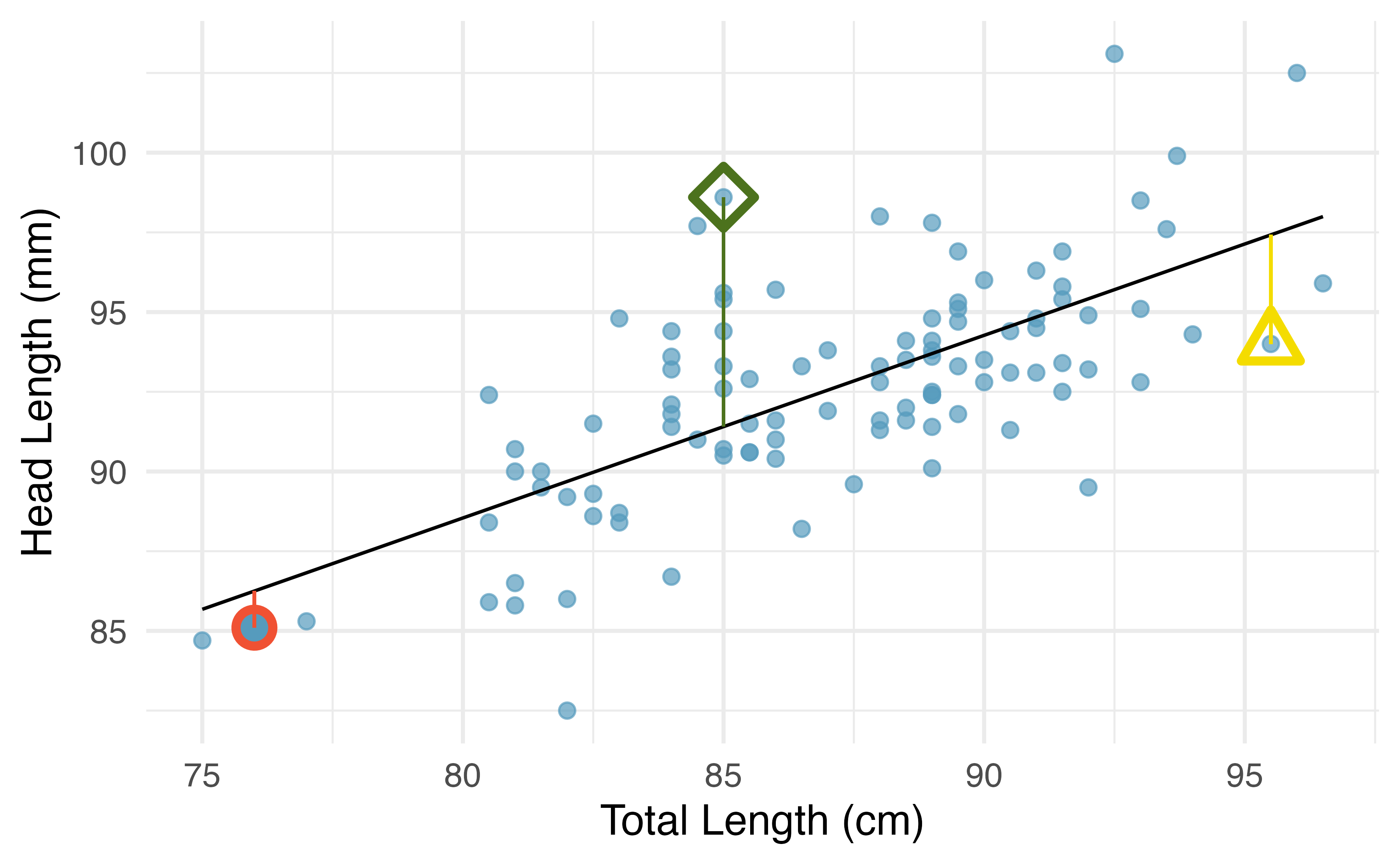 A reasonable linear model was fit to represent the relationship between head length and total length, with three points and their residuals highlighted.